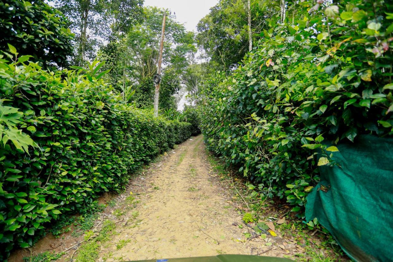 Thekkady Kalarickal Heritage Bungalow Vandanmedu Dış mekan fotoğraf