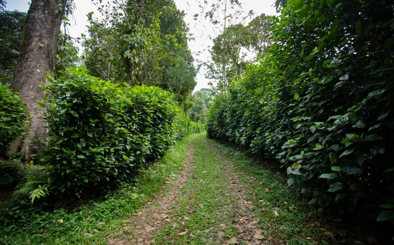 Thekkady Kalarickal Heritage Bungalow Vandanmedu Dış mekan fotoğraf